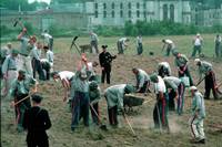 Кадр Побег из Шоушенка