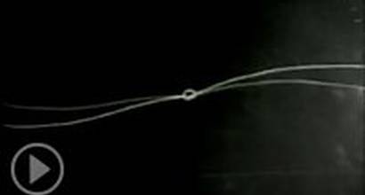 Мультфильм 