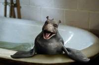 Кадр Мой домашний динозавр