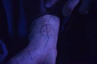 Кадр Революция