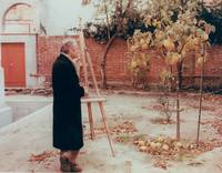 Кадр Солнце в листве айвового дерева