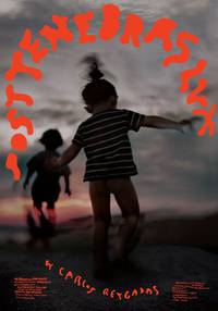 Постер После мрака свет