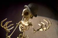 Кадр Труп невесты