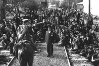 Кадр Список Шиндлера