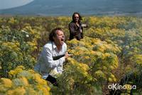 Кадр Тайные агенты