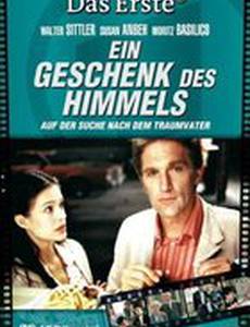 Подарок небес