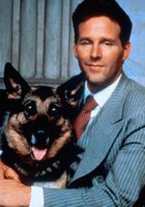 Дорогу указывает любовь