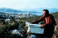 Кадр Пчеловод