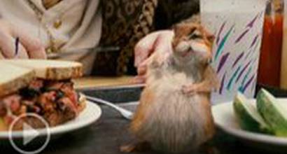 Фрагмент «Pip Pantomimes»