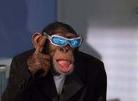 Кадр Лучший друг шпиона