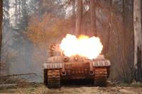 Кадр Белый тигр