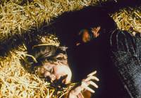 Кадр Бродяга высокогорных равнин