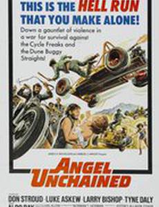 Освобожденный ангел