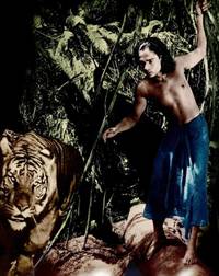 Кадр Книга джунглей