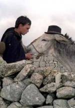 Франческо Касиса фото