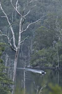 Кадр Вымирающая порода