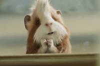 Кадр Миссия Дарвина