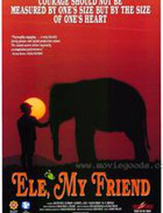Мой друг Эли
