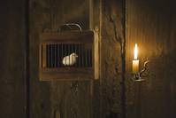 Кадр Ниже холма 60