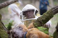 Кадр Ганнибал