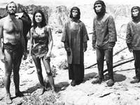 Кадр Планета обезьян