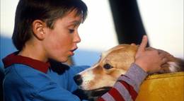 Кадр из фильма "Бинго" - 2