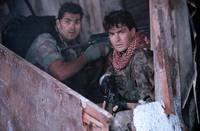 Кадр Морские котики