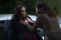 Кадр Академия вампиров