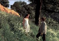 Кадр Белая свадьба