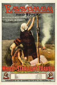 Постер While the Starlight Travels