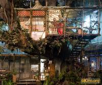 Кадр Остров Ним