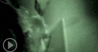 Фрагмент №4