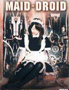 Робо-горничная