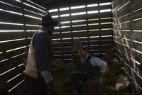 Кадр Ад на колёсах