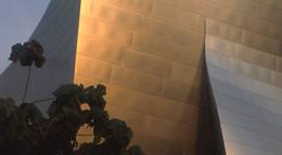 Кадр из фильма "Наброски Фрэнка Гэри" - 2