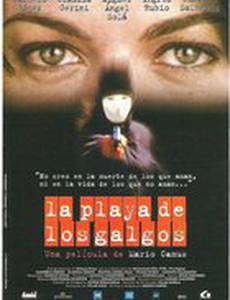 La playa de los galgos