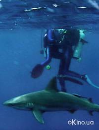 Кадр Открытое море