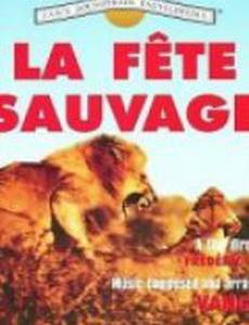 Дикий праздник