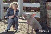 Кадр Паутина Шарлотты