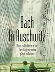 La chaconne d'Auschwitz