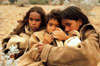 Кадр Клетка для кроликов