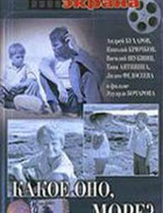 Какое оно, море?