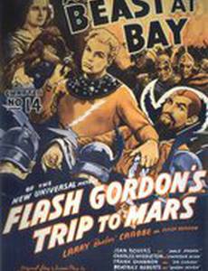 Верная Рука – друг индейцев