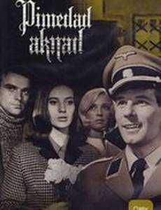 Темные окна (мини-сериал)