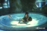 Кадр Бассейн