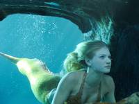 Кадр H2O: Просто добавь воды