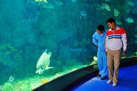 Кадр Рай океана