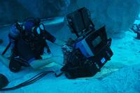 Кадр Санктум 3D