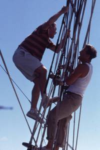 Кадр Белый шквал