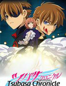 Хроника крыльев (видео)